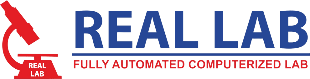 reallab.co.in